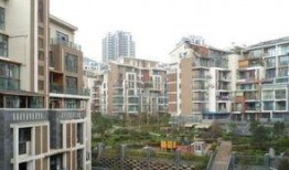 贵阳花园爆料最新消息视频,视频揭秘惊人内幕